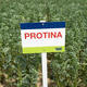 PROTINA